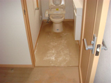 玄関の写真