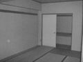〜の写真