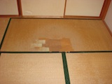 台所の写真